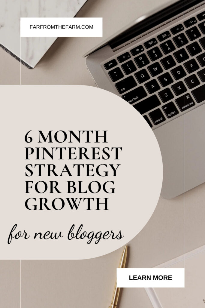 6 Month strategy for blog growth with Pinterest