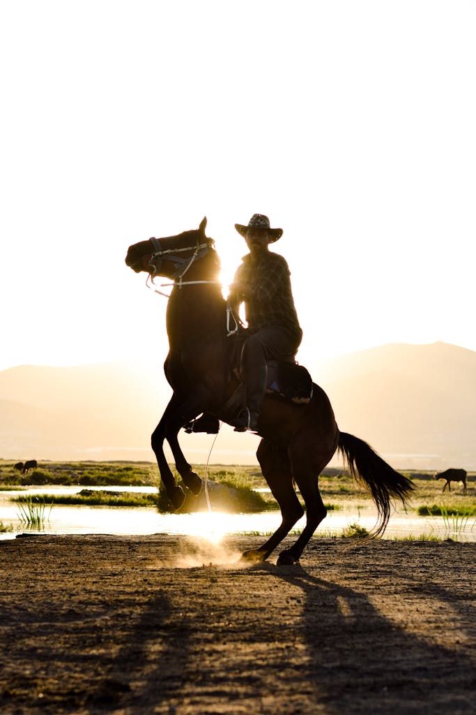 The Best Gifts for Country Guys!