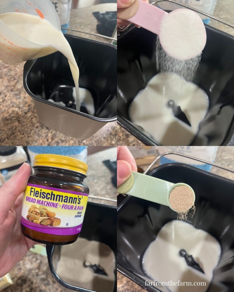 Easy Bread Machine Garlic Butter Dinner Rolls Recipe!