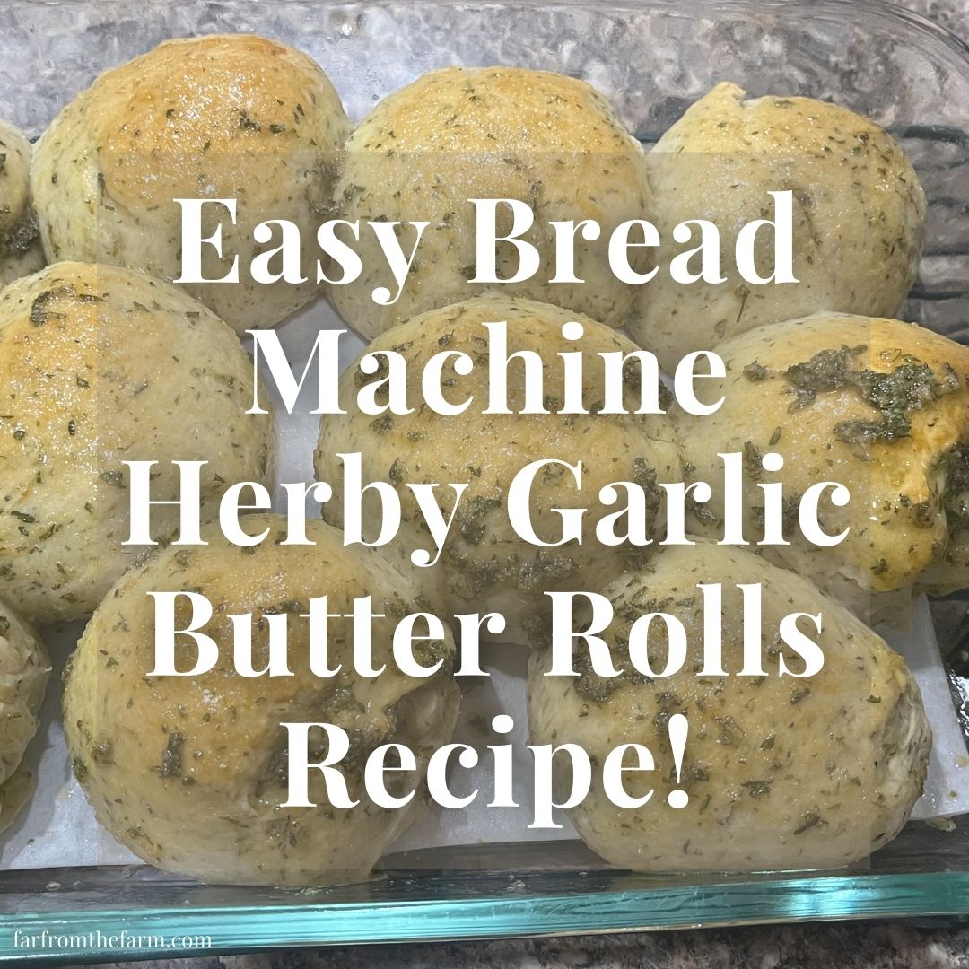 Easy Bread Machine Garlic Butter Dinner Rolls Recipe!