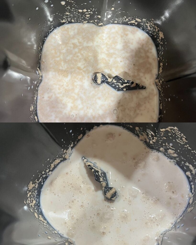 Easy Bread Machine Garlic Butter Dinner Rolls Recipe!