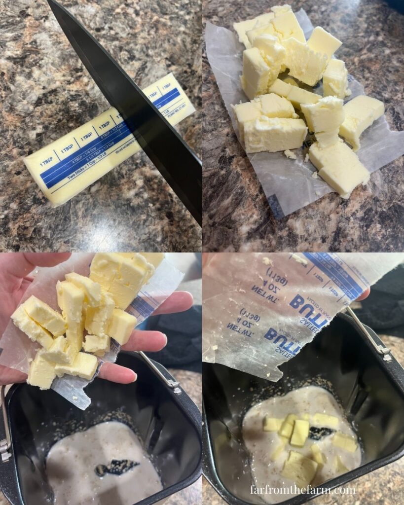 Easy Bread Machine Garlic Butter Dinner Rolls Recipe!