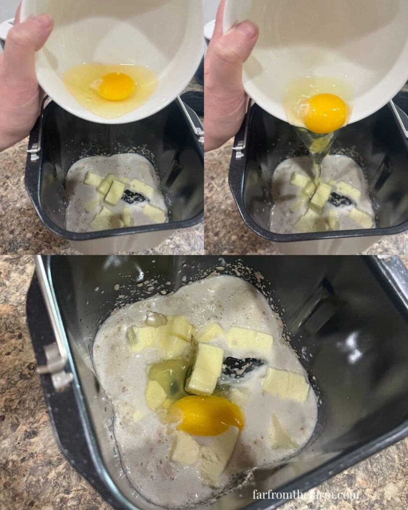 Easy Bread Machine Garlic Butter Dinner Rolls Recipe!