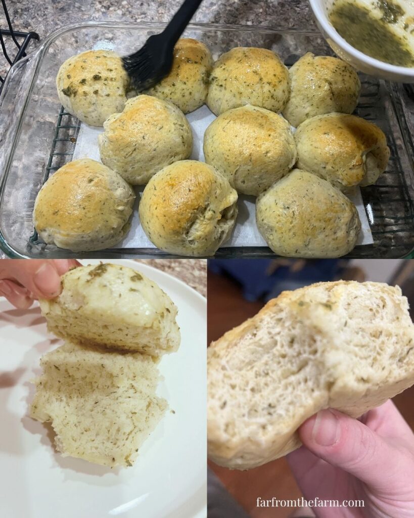 Easy Bread Machine Garlic Butter Dinner Rolls Recipe!