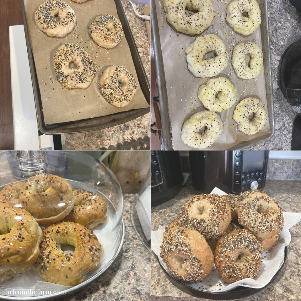 Easy Bread Machine Bagels Recipe!