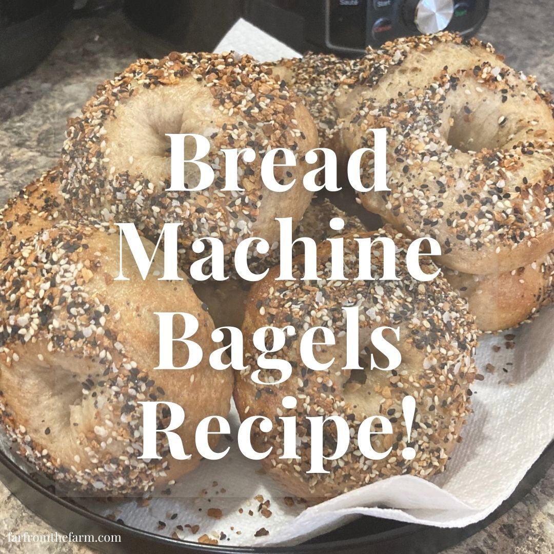 Easy Bread Machine Bagels Recipe!