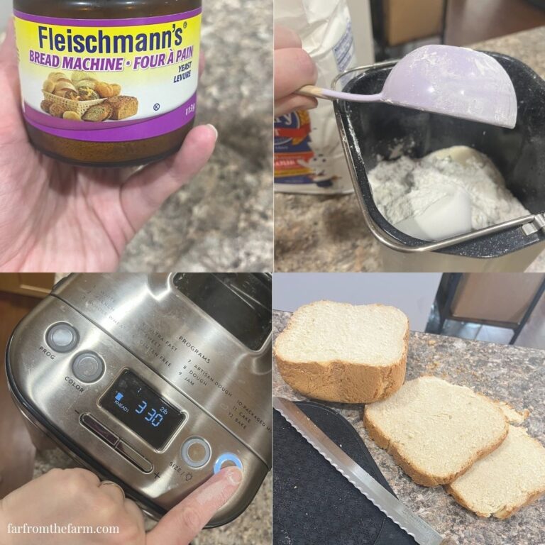 Easy Bread Machine Dairy Free White Bread Recipe!
