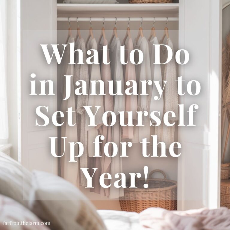 What to Do in January to Set Yourself Up for the Year!