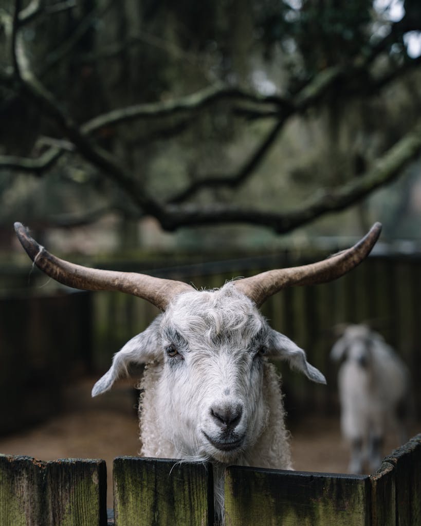 Fun and Alternative Office Christmas Party Ideas