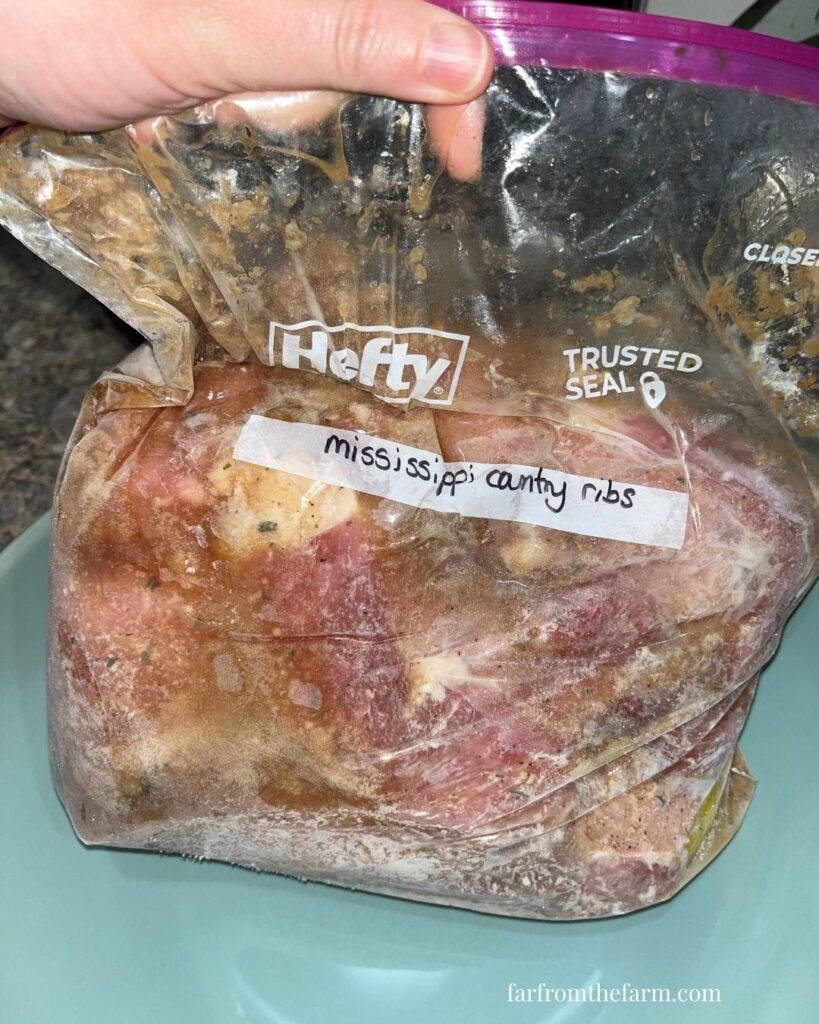 Instant Pot Budget Freezer Meal Mississippi Style Country Ribs Recipe!