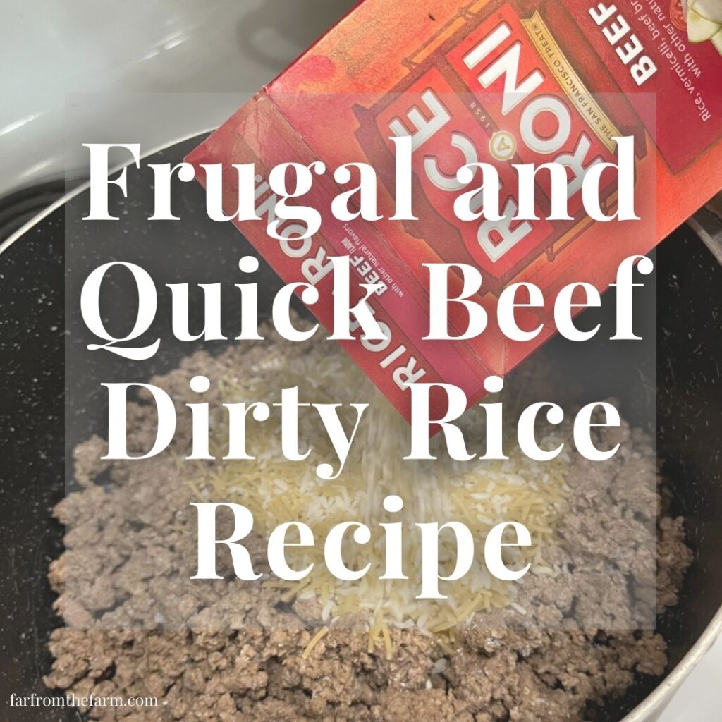 Frugal and Quick Beef Dirty Rice Recipe
