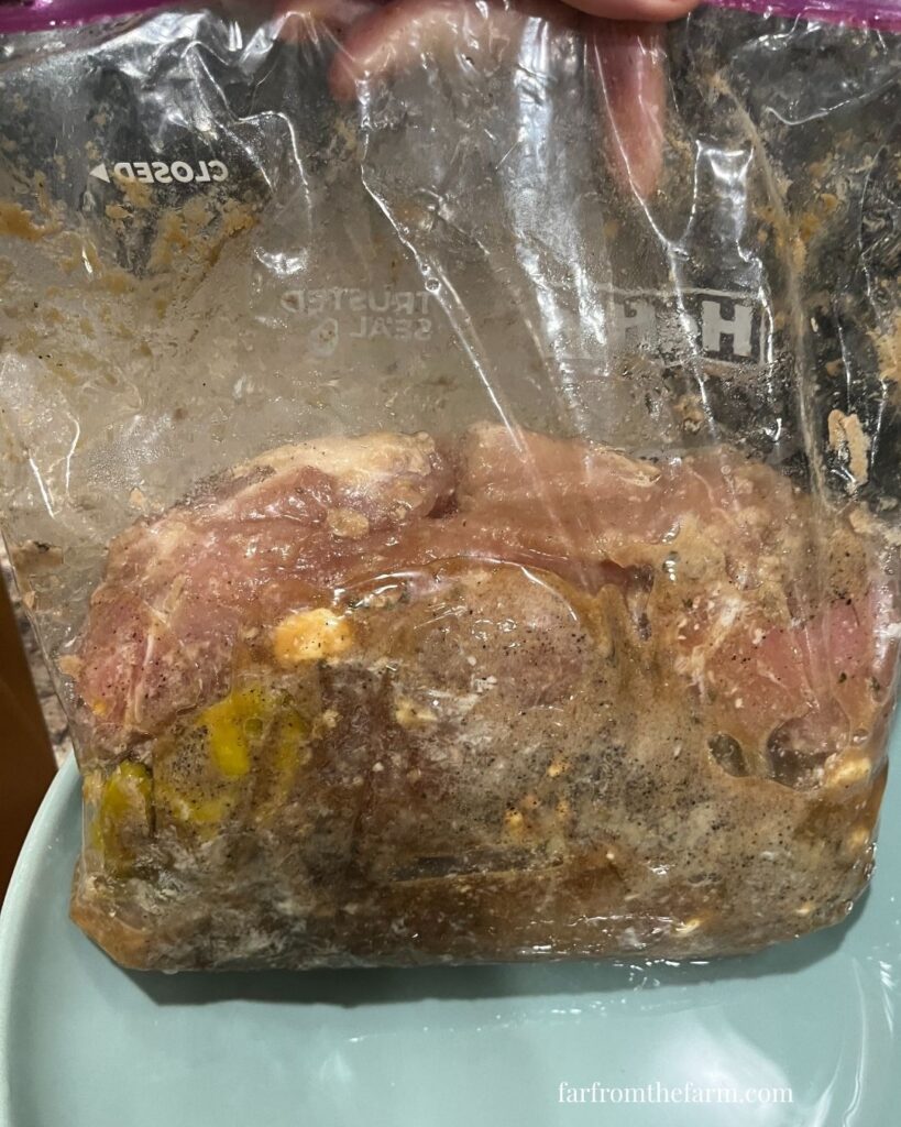 Instant Pot Budget Freezer Meal Mississippi Style Country Ribs Recipe!