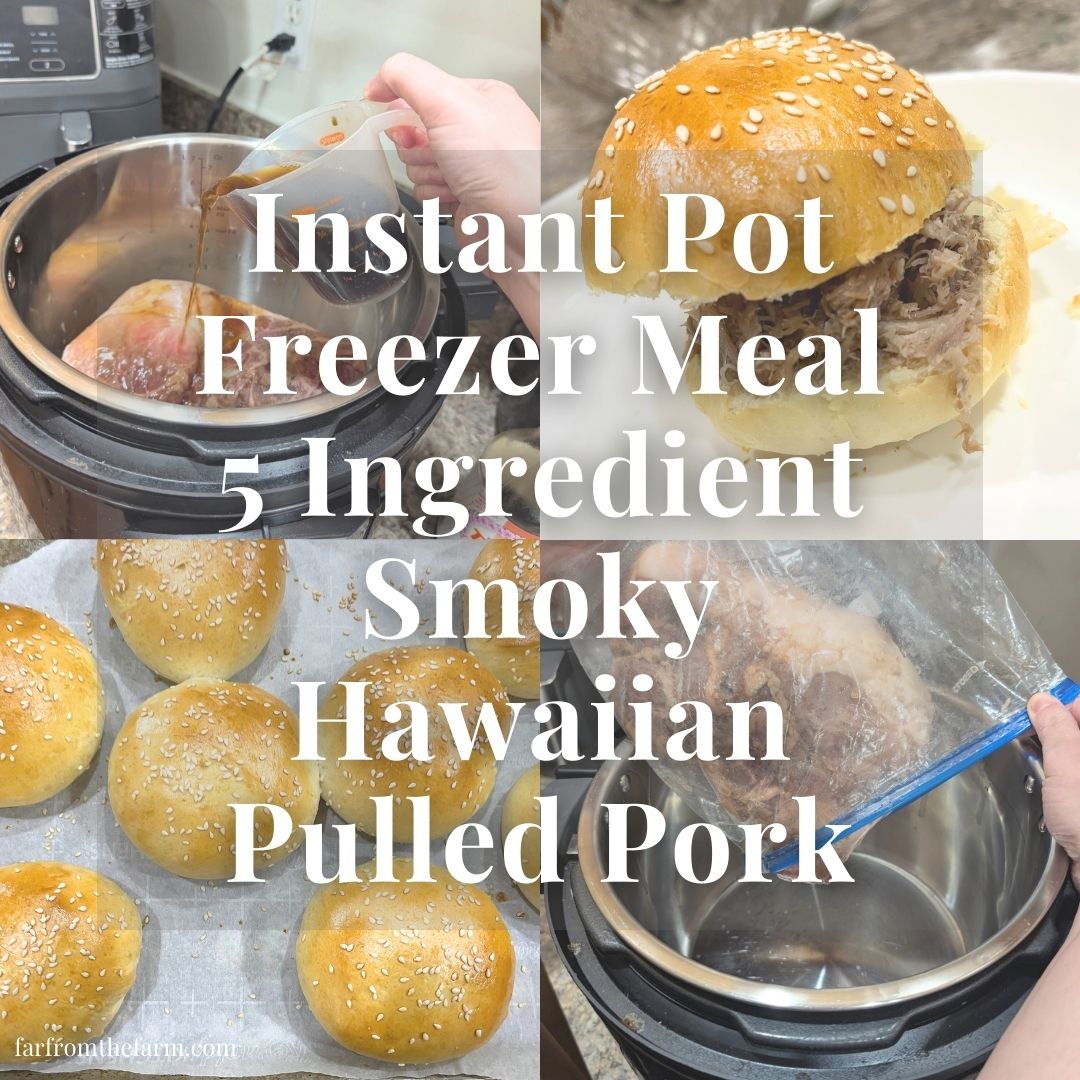 Instant Pot Freezer Meal 5 Ingredient Smoky Hawaiian Pulled Pork