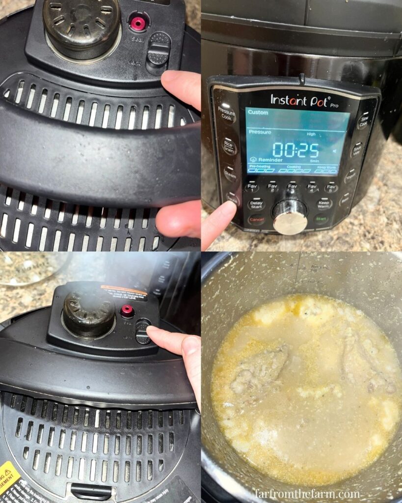 Instant Pot Freezer Meal Creamy Shredded Chicken Pasta Sauce Recipe!