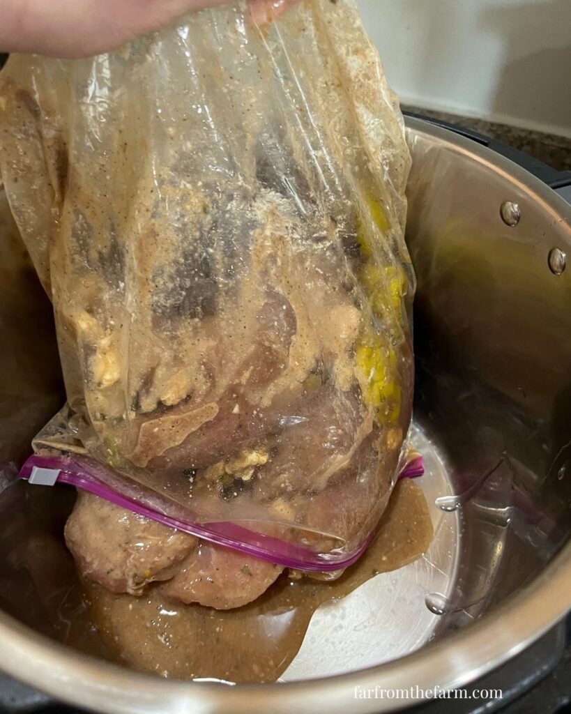 Instant Pot Budget Freezer Meal Mississippi Style Country Ribs Recipe!