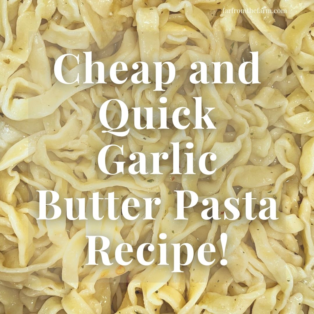 Cheap and Quick Garlic Butter Pasta Recipe