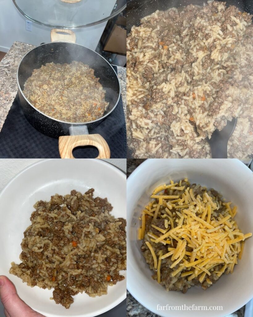 Frugal and Quick Beef Dirty Rice Recipe
