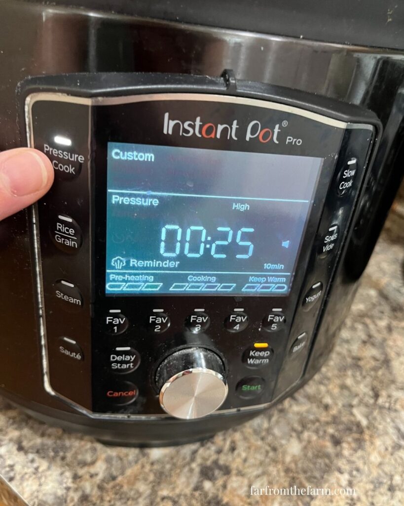 Instant Pot Budget Freezer Meal Mississippi Style Country Ribs Recipe!