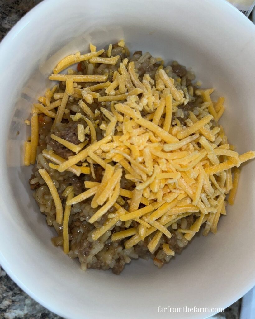 Frugal and Quick Beef Dirty Rice Recipe