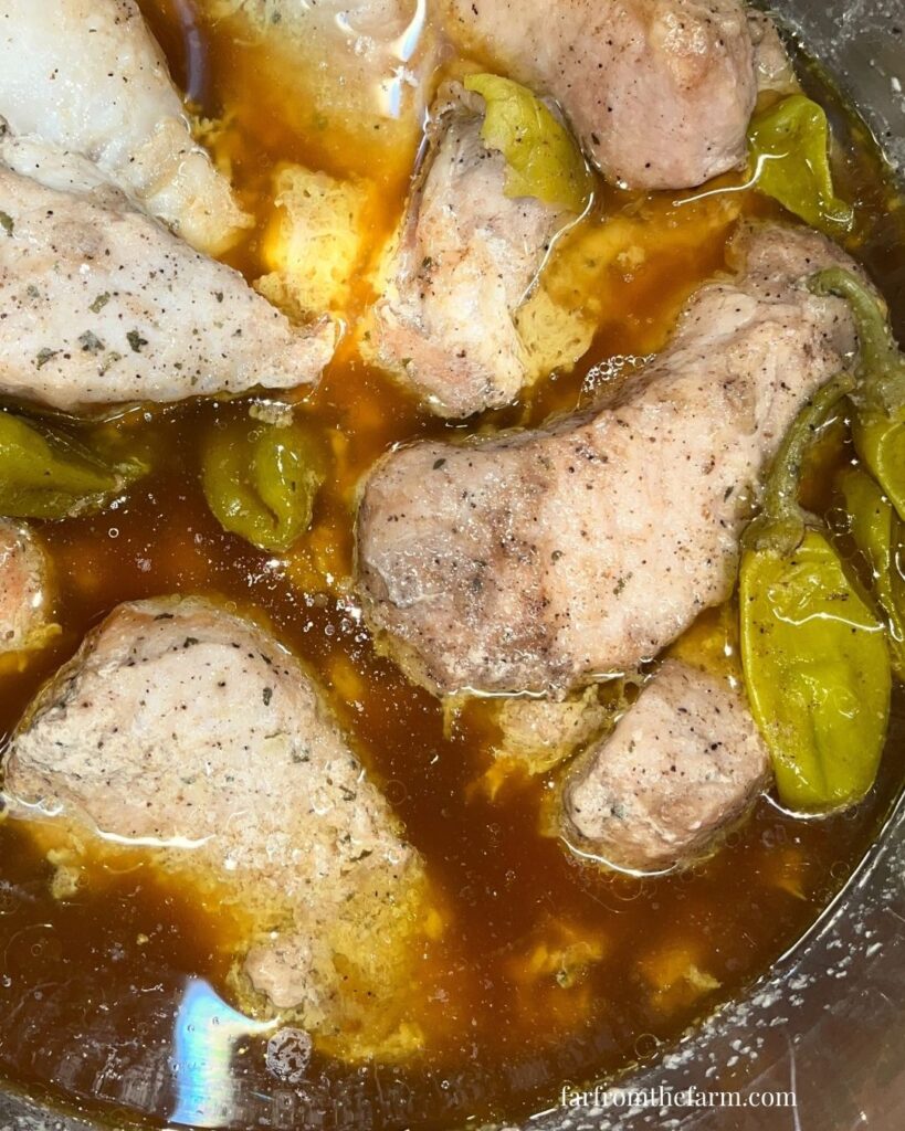 Instant Pot Budget Freezer Meal Mississippi Style Country Ribs Recipe!