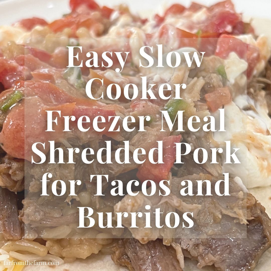 Frugal crockpot orange pork freezer meal. A budget-friendly weeknight dinner that’s easy, versatile, and perfect for tacos or burritos!