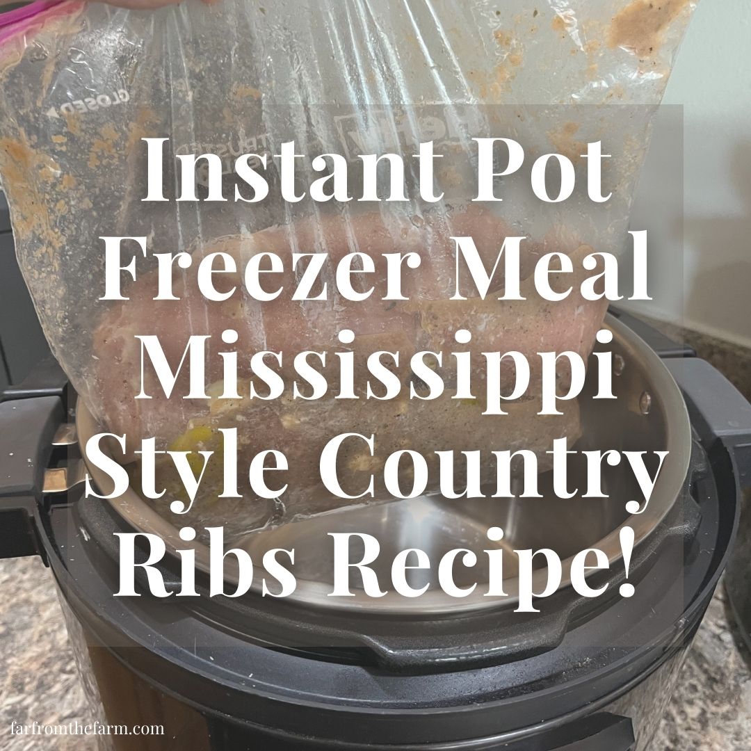 Instant Pot Budget Freezer Meal Mississippi Style Country Ribs Recipe!