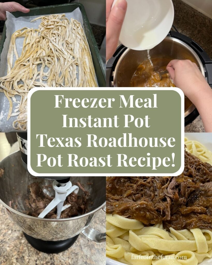 Budget Freezer Meal Instant Pot Copycat Texas Roadhouse Beef Pot Roast Recipe!