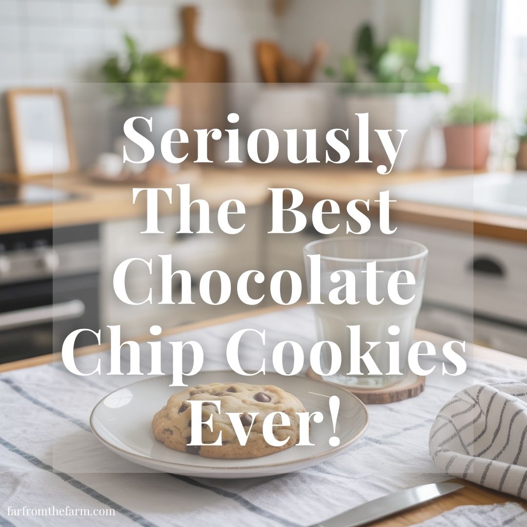 The Easiest Frugal Family Favorite Chocolate Chip Cookies Ever!