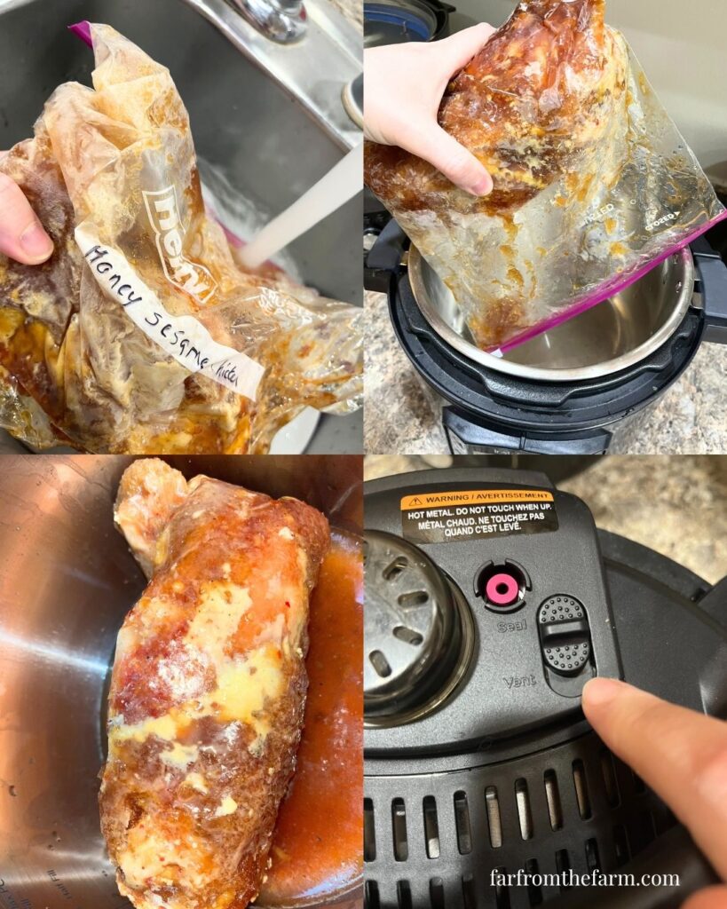 Budget Freezer Meal Instant Pot Honey Sesame Chicken Recipe!