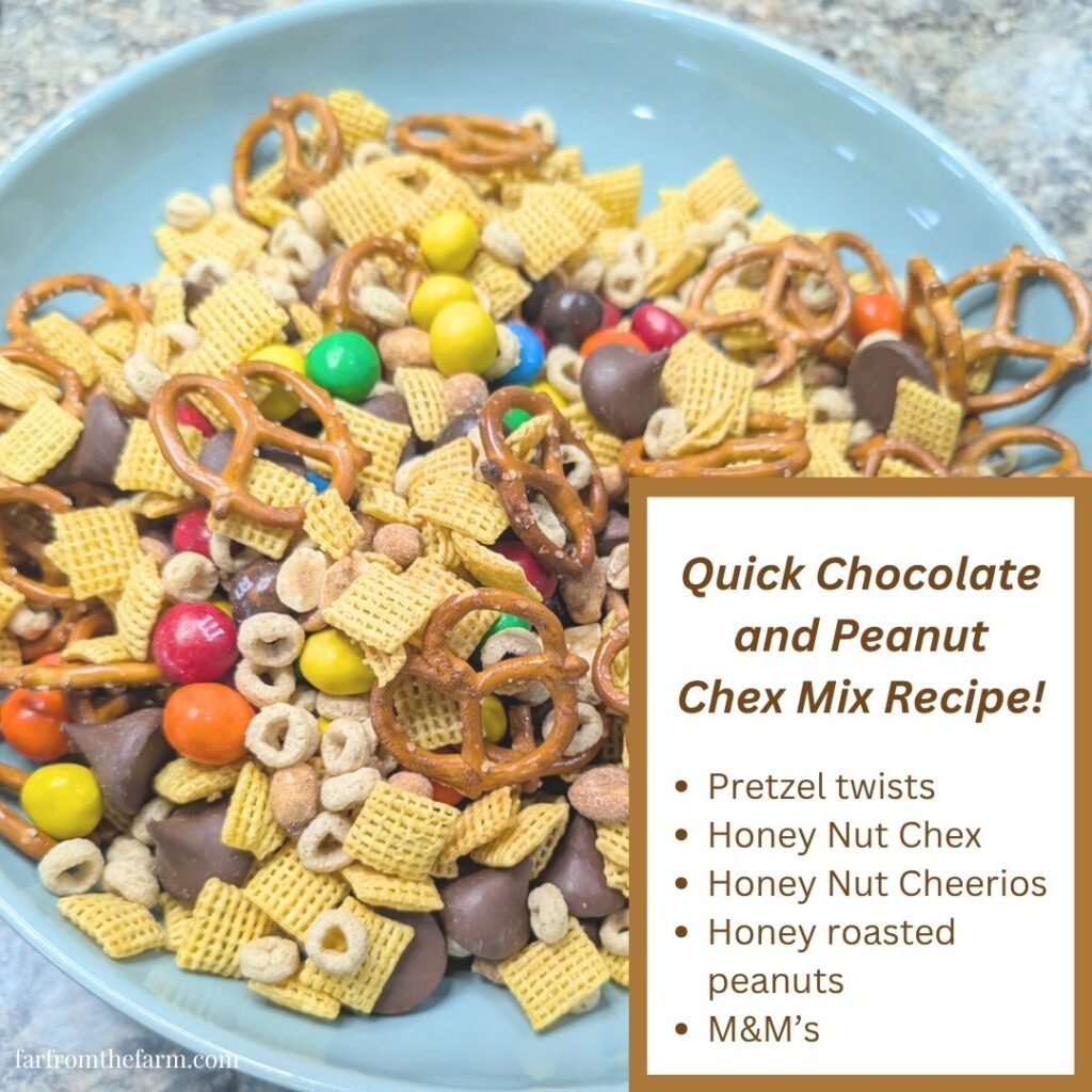 Quick Chocolate and Peanut Chex Mix Recipe!