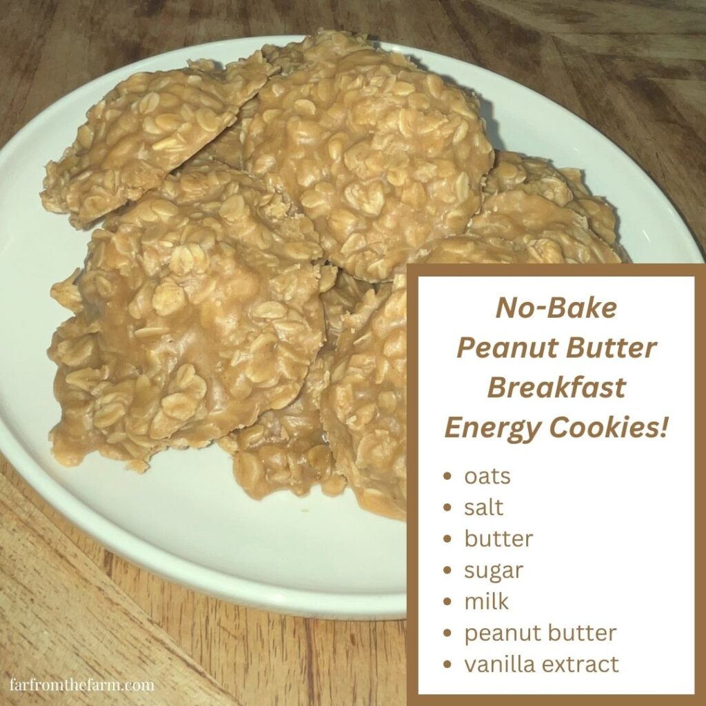 No Bake Peanut Butter Breakfast Energy Cookies!