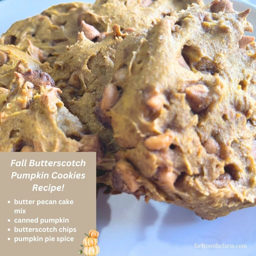 Fall Butterscotch Pumpkin Cookies Recipe!