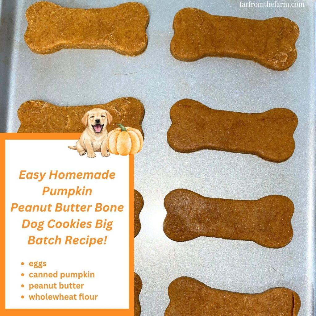 Easy Homemade Pumpkin Peanut Butter Bone Dog Cookies Big Batch Recipe!