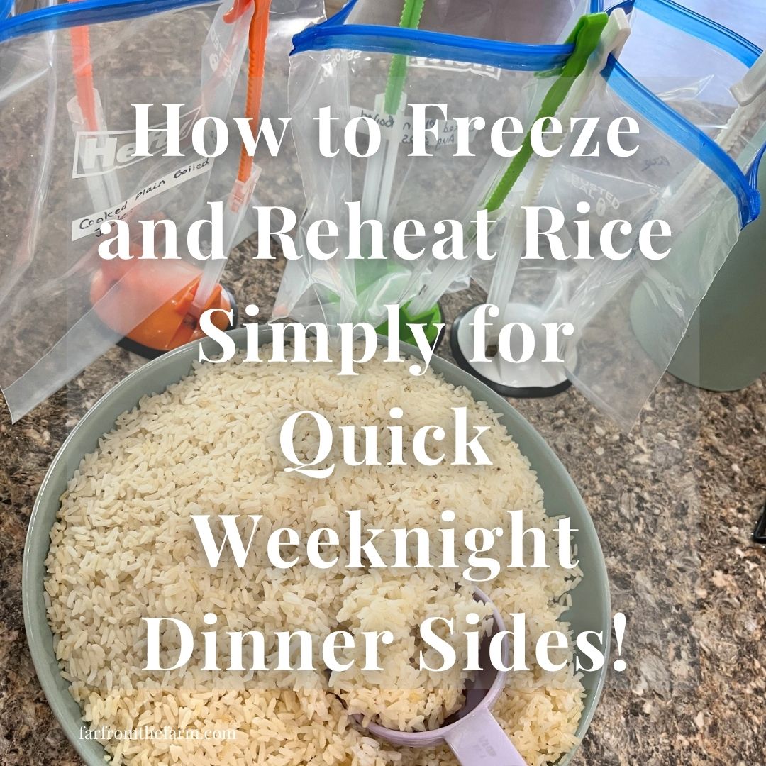 How to Freeze and Reheat Rice Simply for Quick Weeknight Dinner Sides!
