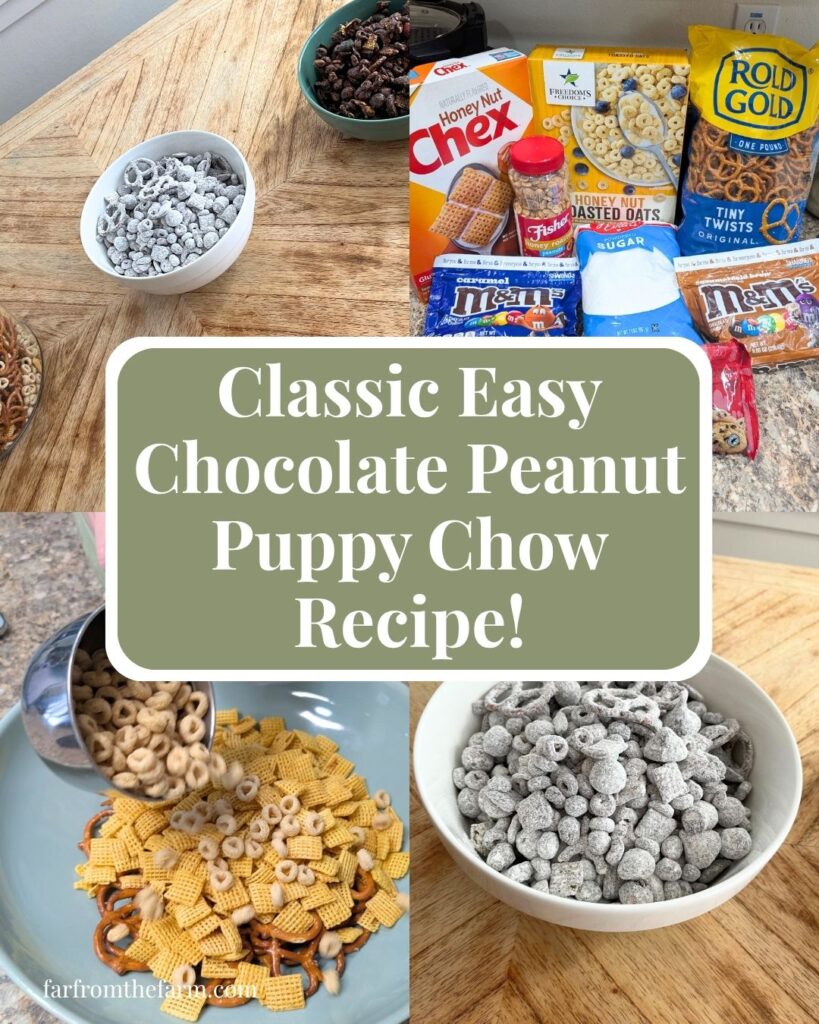 Classic Easy Homemade Chocolate and Peanut Chex Mix Puppy Chow Recipe!