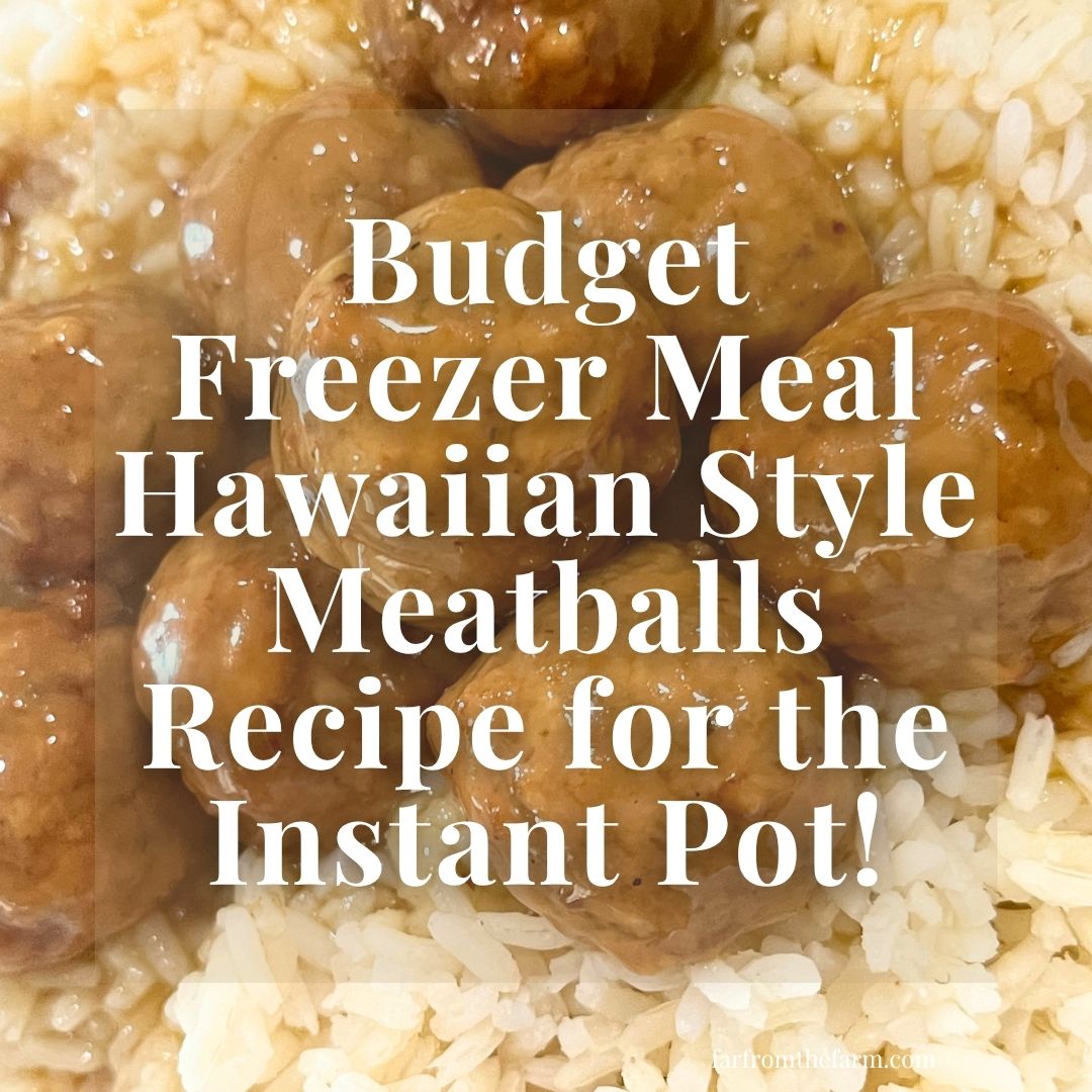 Easy Freezer Meal Budget Hawaiian-Style Meatballs Recipe for the Instant Pot!