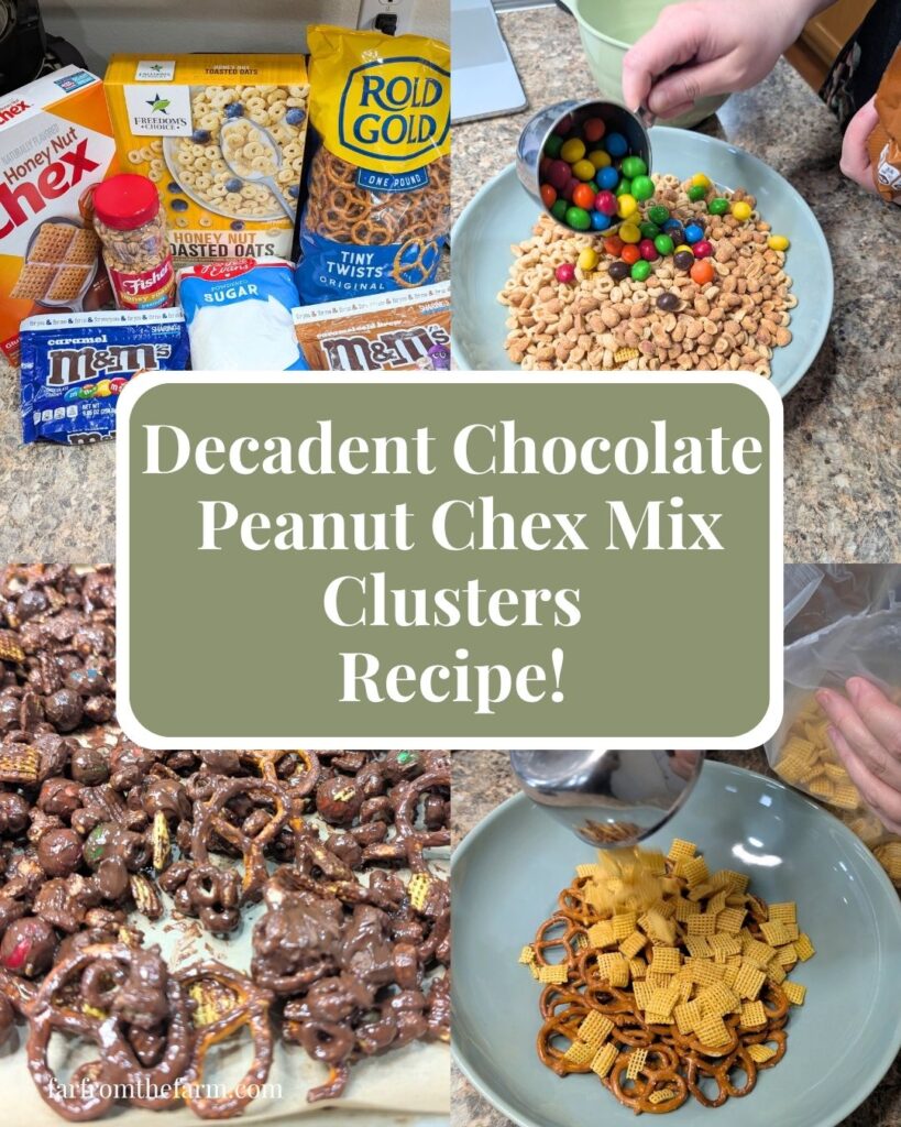 Decadent Chocolate Peanut Chex Mix Clusters Recipe!