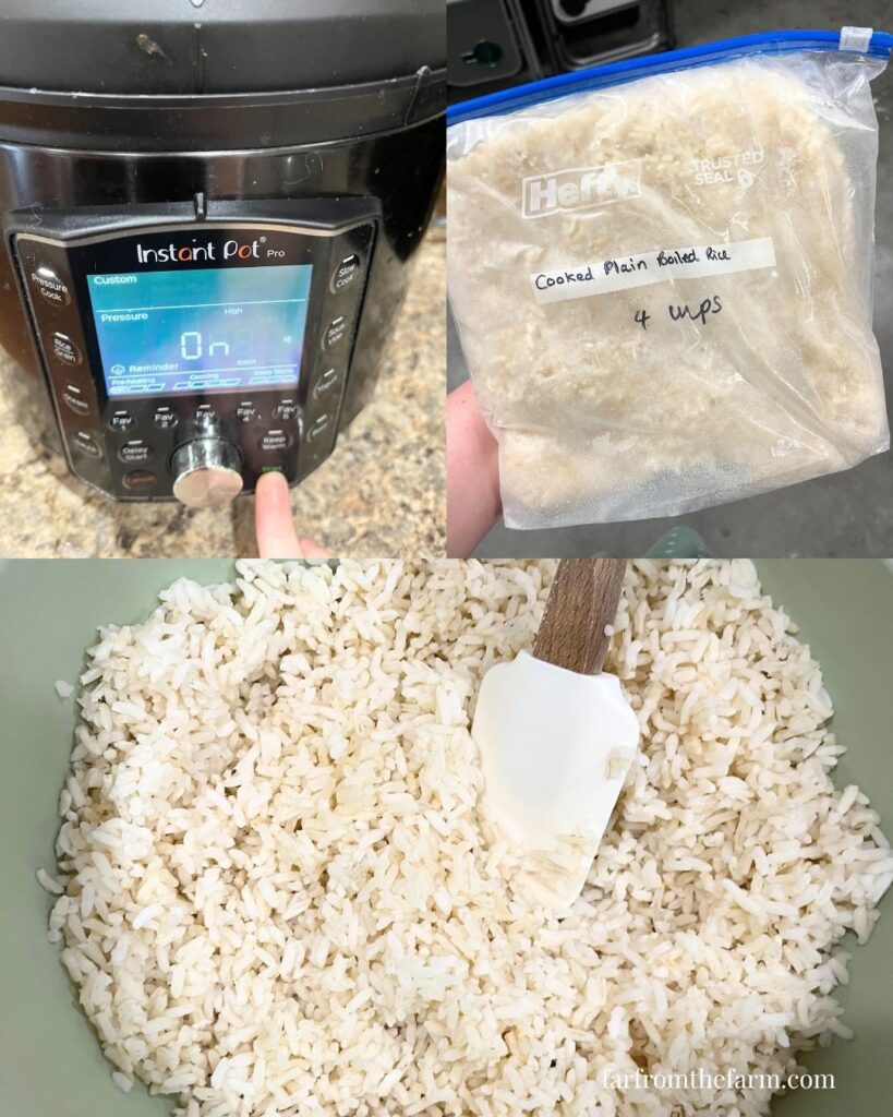 Budget Freezer Meal Instant Pot Honey Sesame Chicken Recipe!