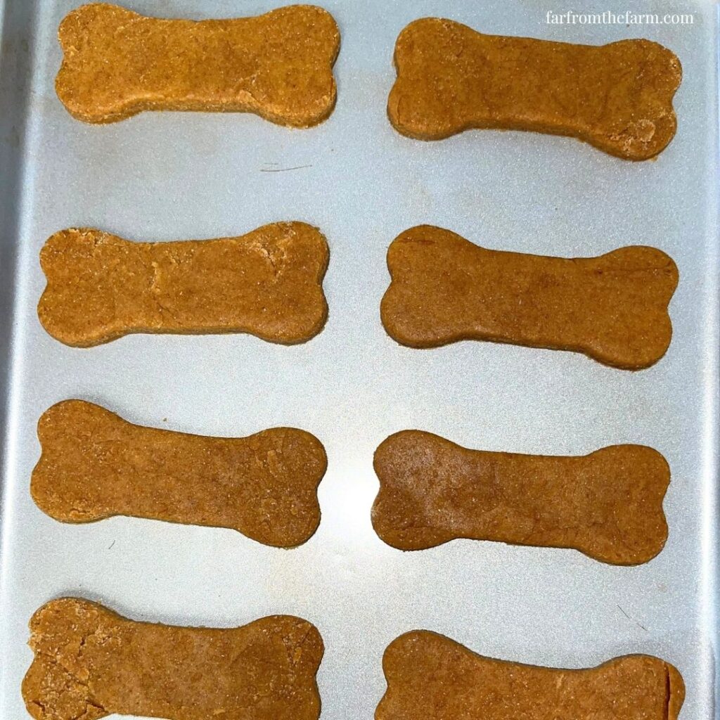 Easy Homemade Pumpkin Peanut Butter Bone Dog Cookies Big Batch Recipe!