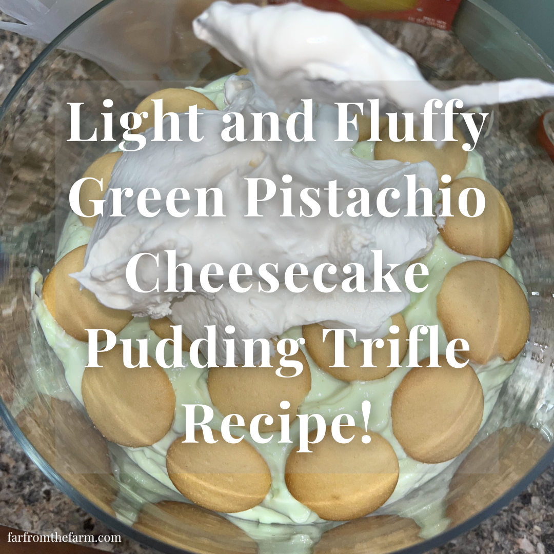 Light and Fluffy Green Pistachio Cheesecake Pudding Trifle Recipe!