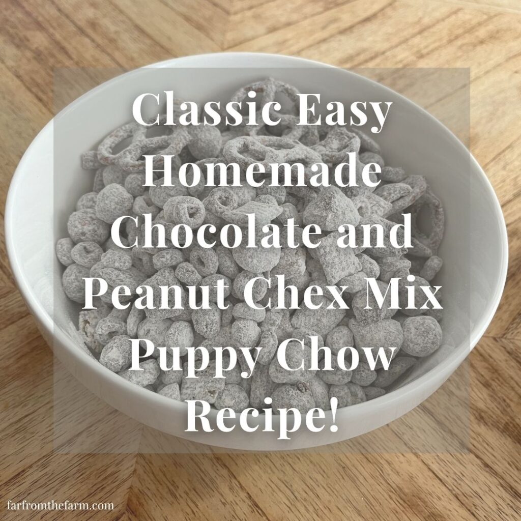 Classic Easy Homemade Chocolate and Peanut Chex Mix Puppy Chow Recipe!