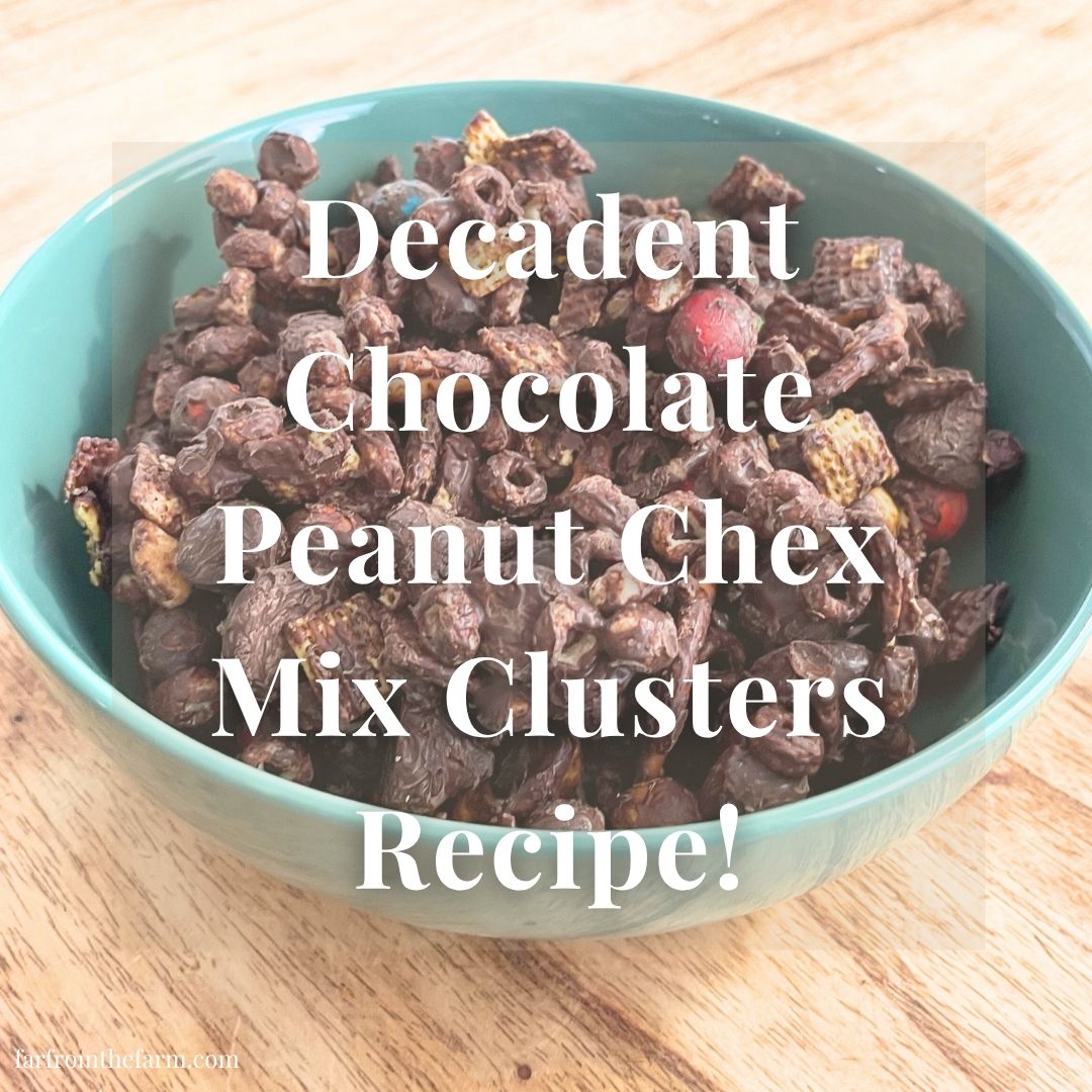 Decadent Chocolate Peanut Chex Mix Clusters Recipe!