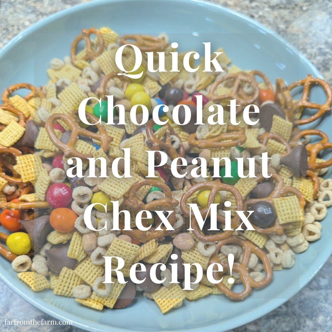 Quick Chocolate and Peanut Chex Mix Recipe!