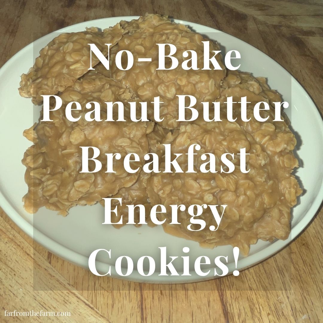 No Bake Peanut Butter Breakfast Energy Cookies!