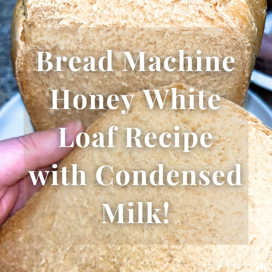 Bread Machine Honey White Loaf Recipe with Condensed Milk!