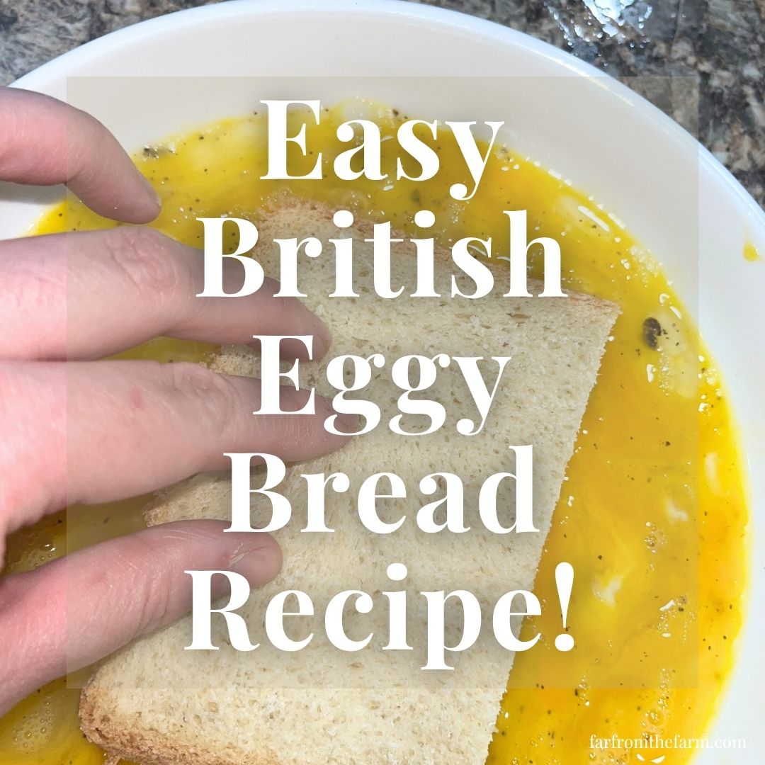 Easy British Eggy Bread Recipe!