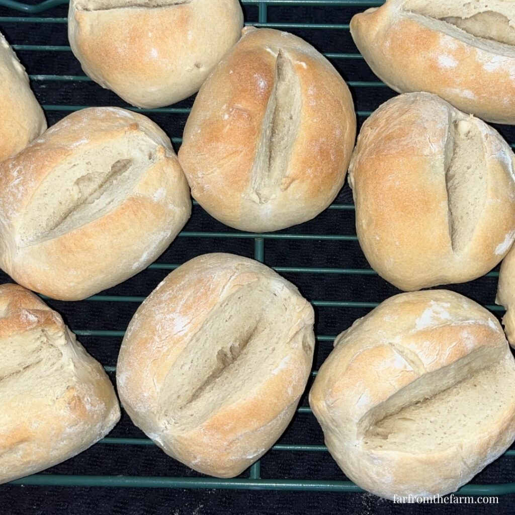 Easy Bread Machine German Brötchen-Style Crusty Rolls Recipe!