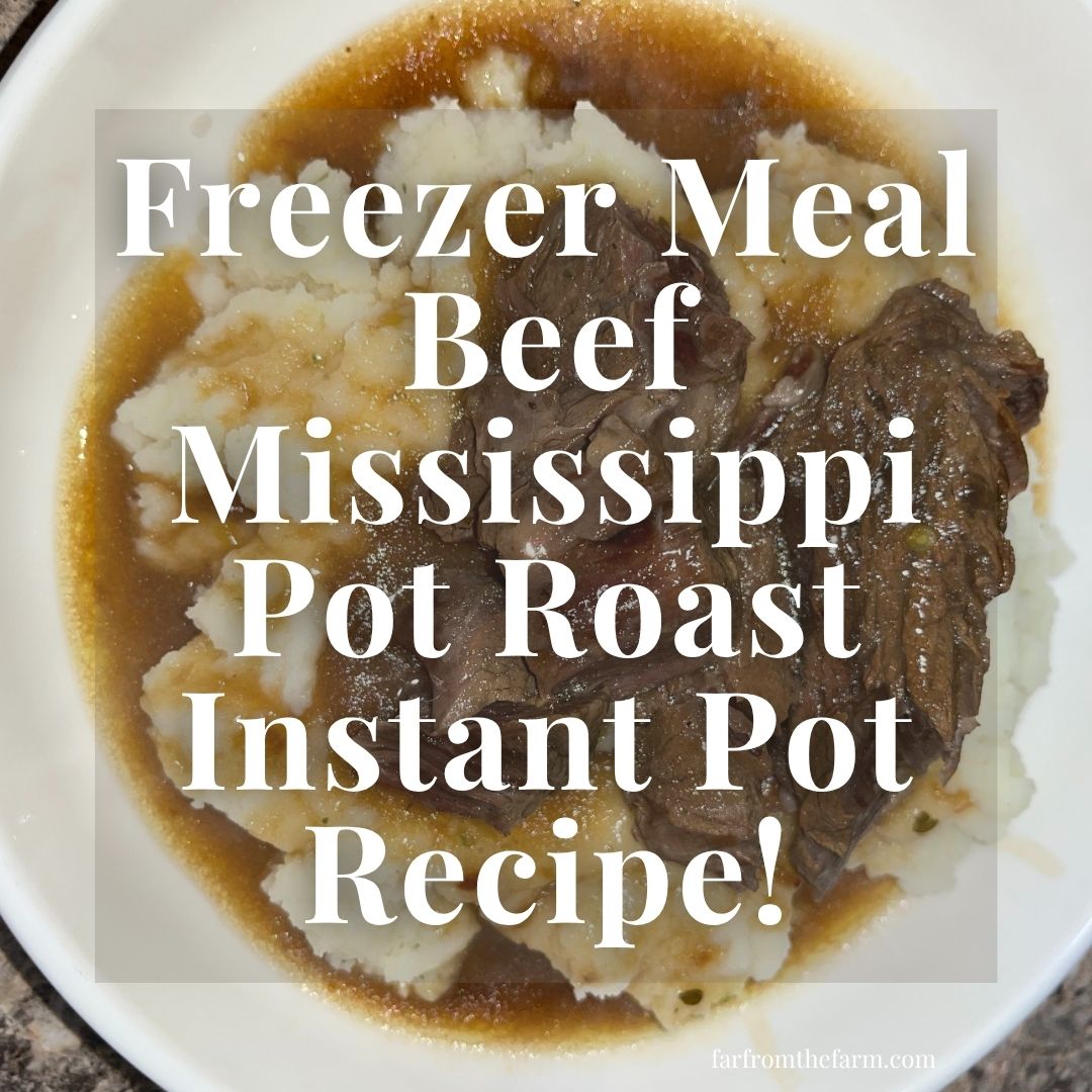 Freezer Meal Beef Mississippi Pot Roast Instant Pot Recipe!