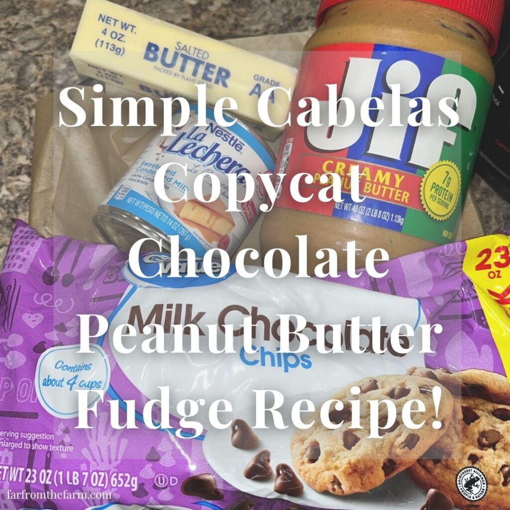 Simple Cabela's Copycat Chocolate Peanut Butter Fudge Recipe!