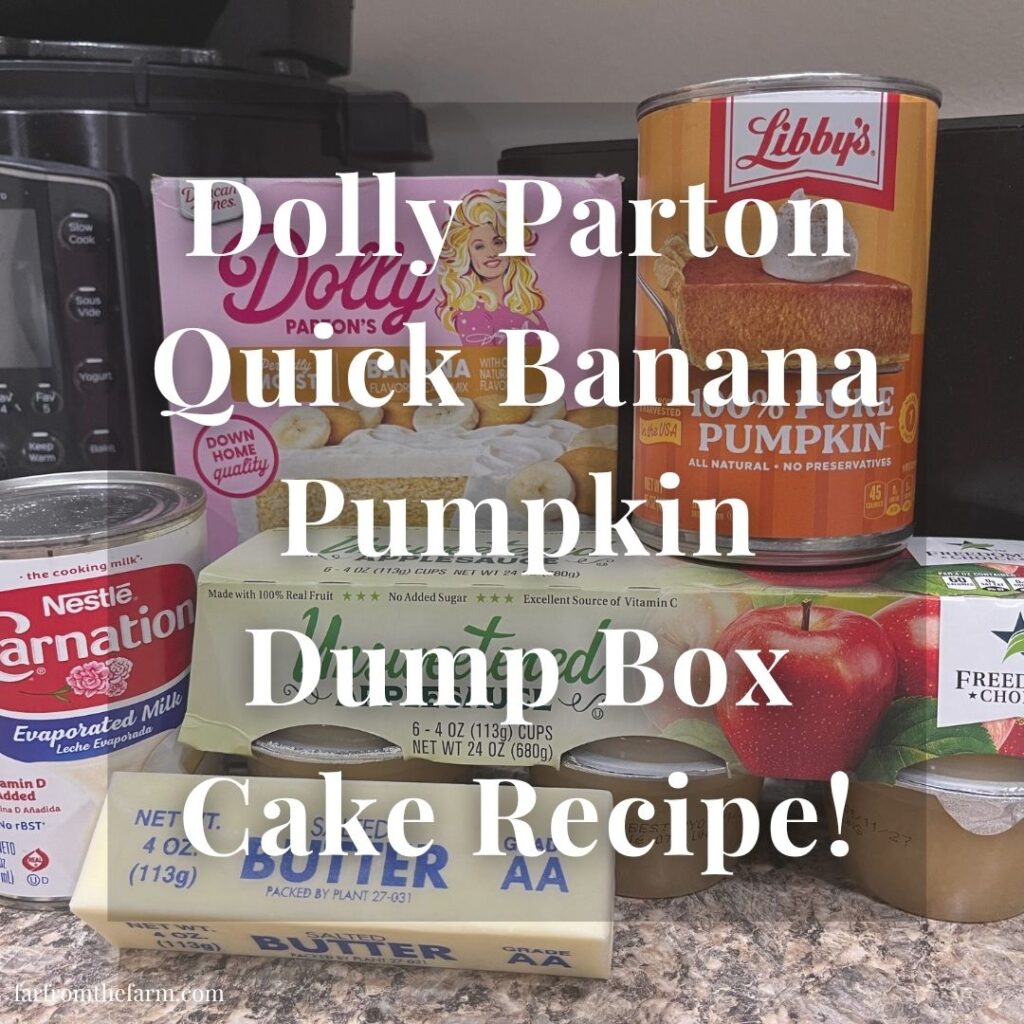 Dolly Parton Quick Banana Pumpkin Dump Box Cake Recipe!